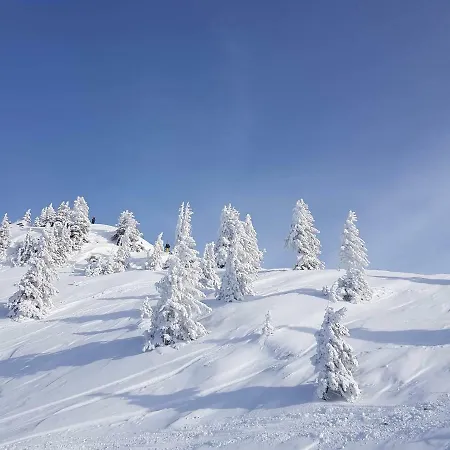 Ferienhaus Haus Zur Kapelle *